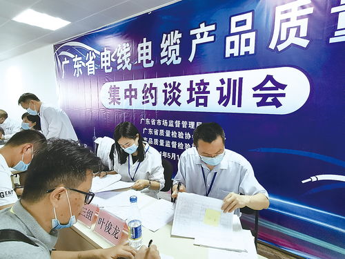 廣東粵品通 賦能企業質量升級，驅動產業高質量發展