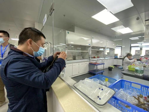 信息技術(shù)咨詢服務(wù)為‘六穩(wěn)六保’提供強(qiáng)支撐，中國—東盟檢驗(yàn)檢測認(rèn)證高技術(shù)服務(wù)集聚區(qū)賦能企業(yè)騰飛