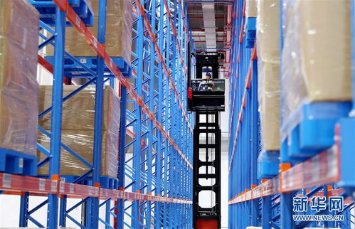 構建雙循環，闖出新天地——從長三角叉車產業看中國外貿新動能